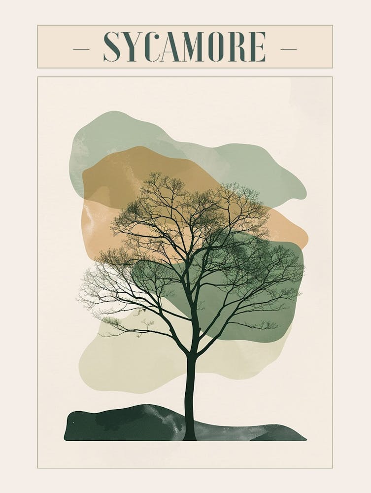 Sycamore Tree Minimal Japandi Illustration 4 Poster