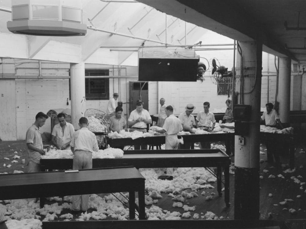 Baumwolle sortieren in der Baumwollpresse, Houston, Texas von Russell Lee