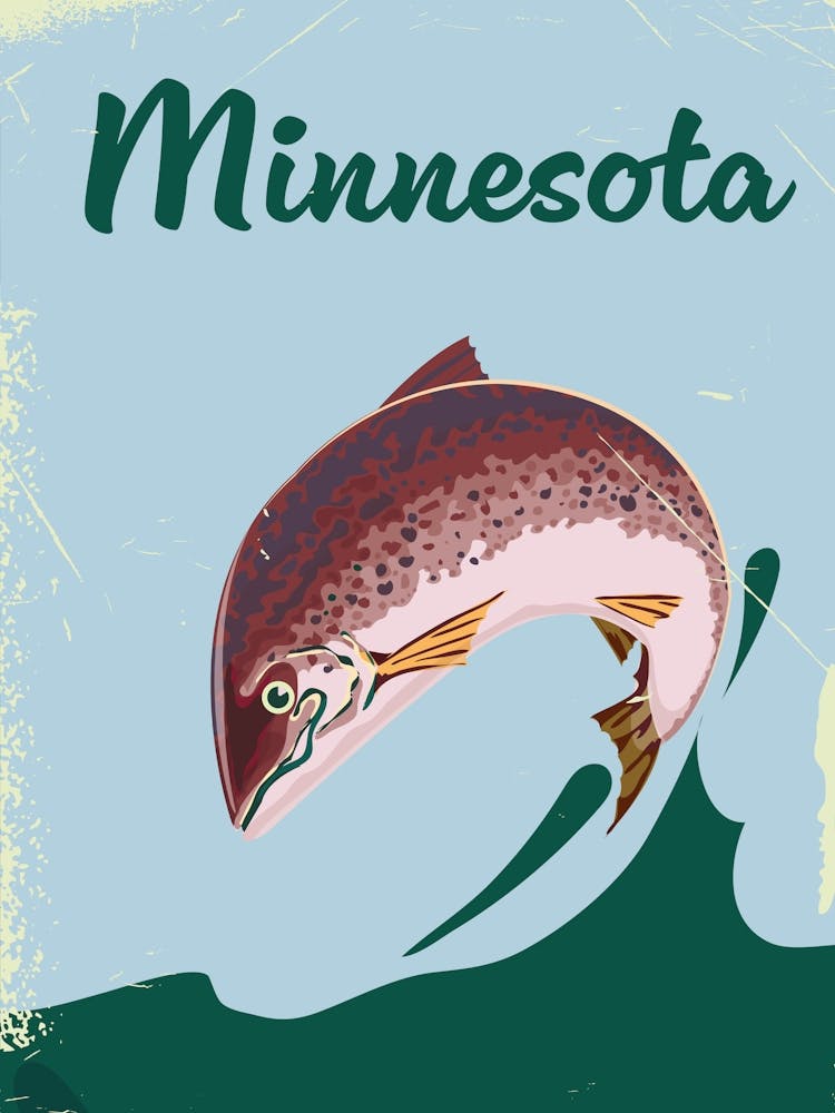 Minnesota Forelle