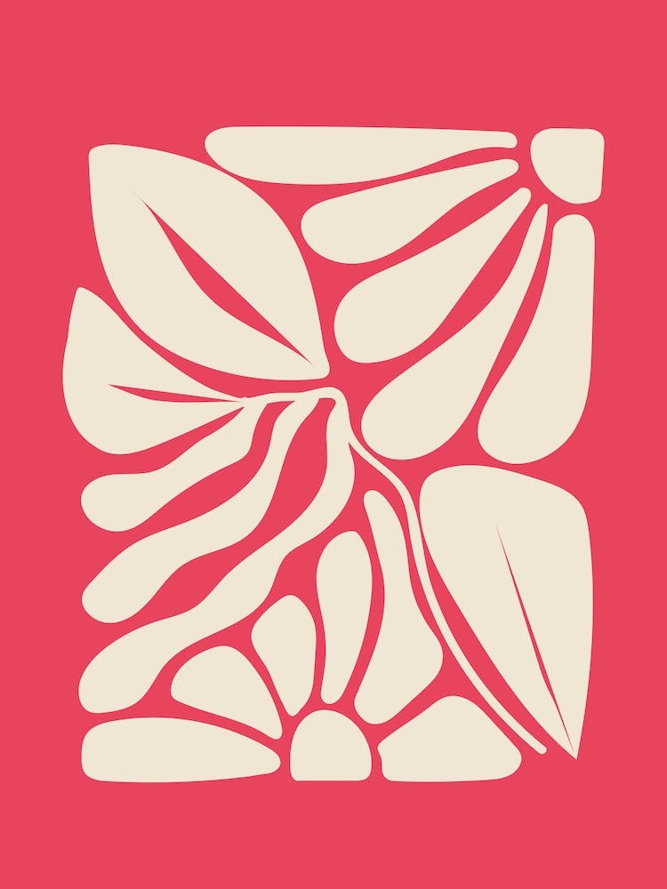 Magenta Abstract Flowers