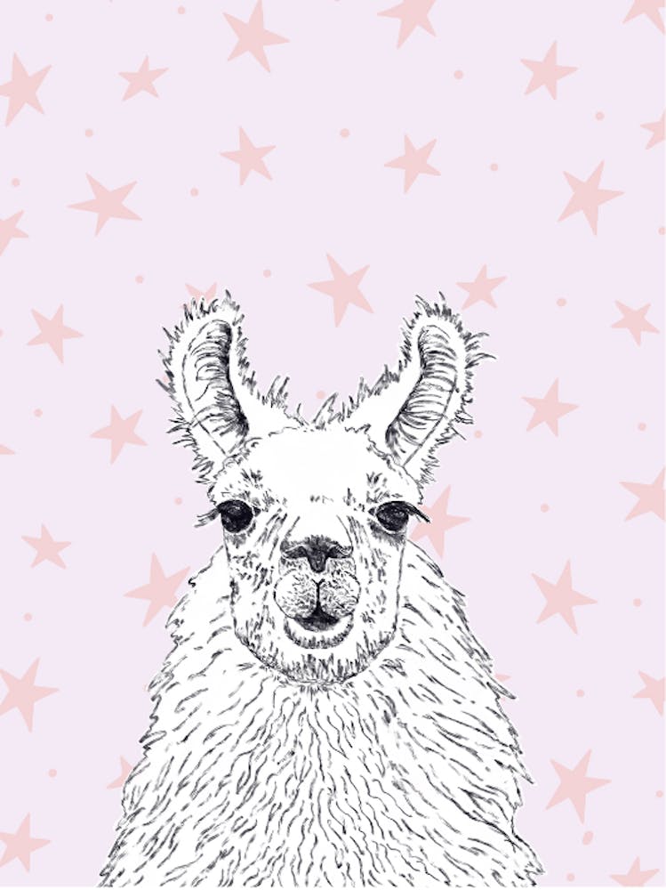 Llama With Stars