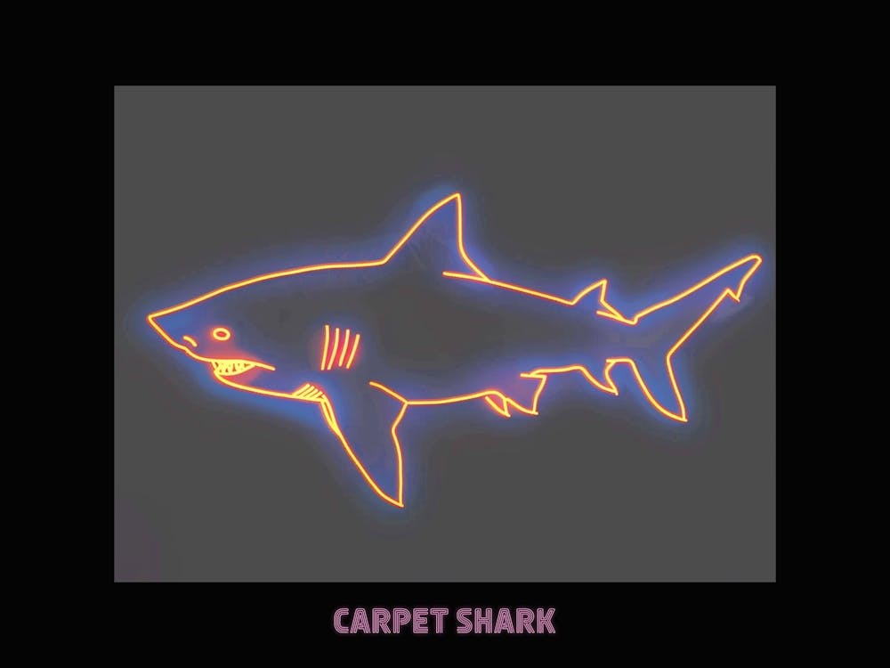 Affiche Requin Tapis Néon Rose Orange 1