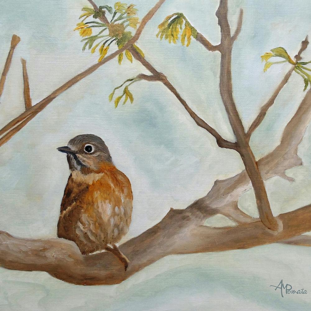 First Signs Of Spring Square