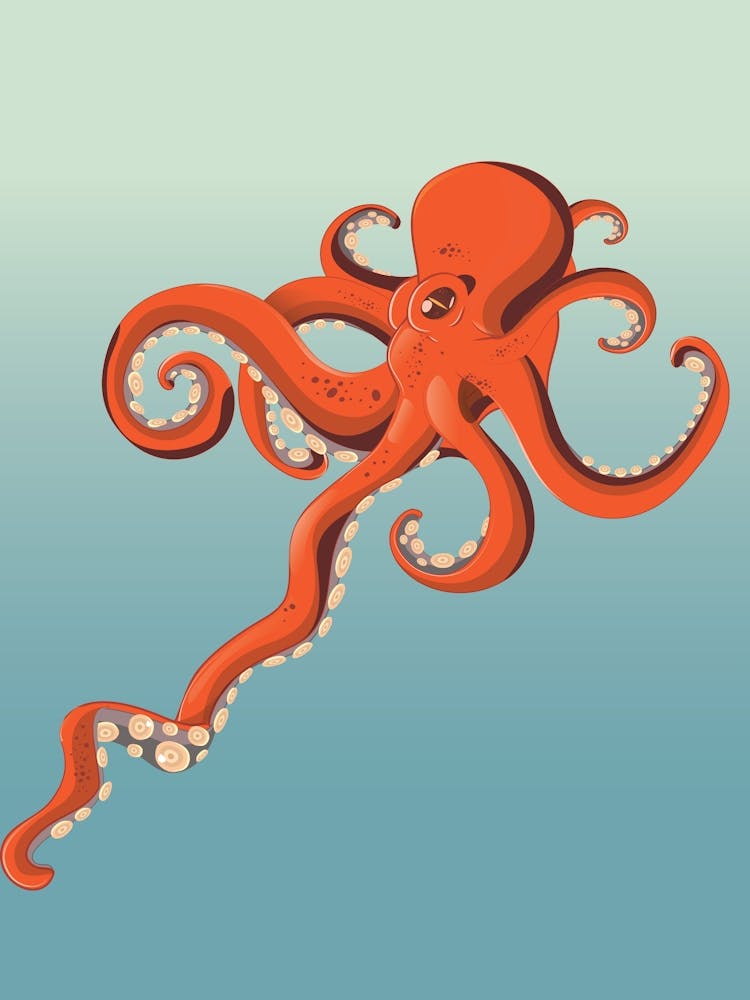 Octopus under the sea