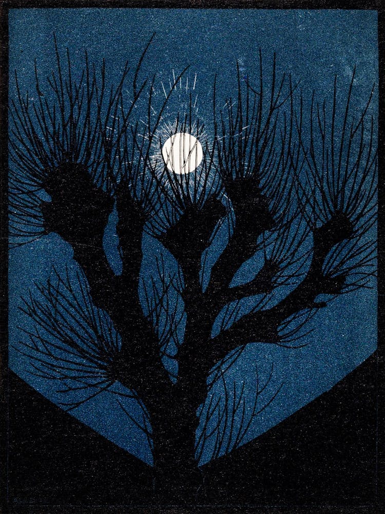 Moon Light