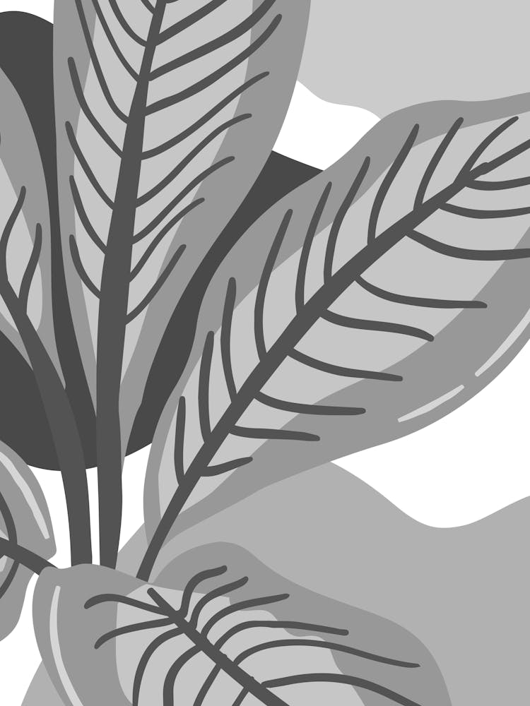 Black And White Leaf 2