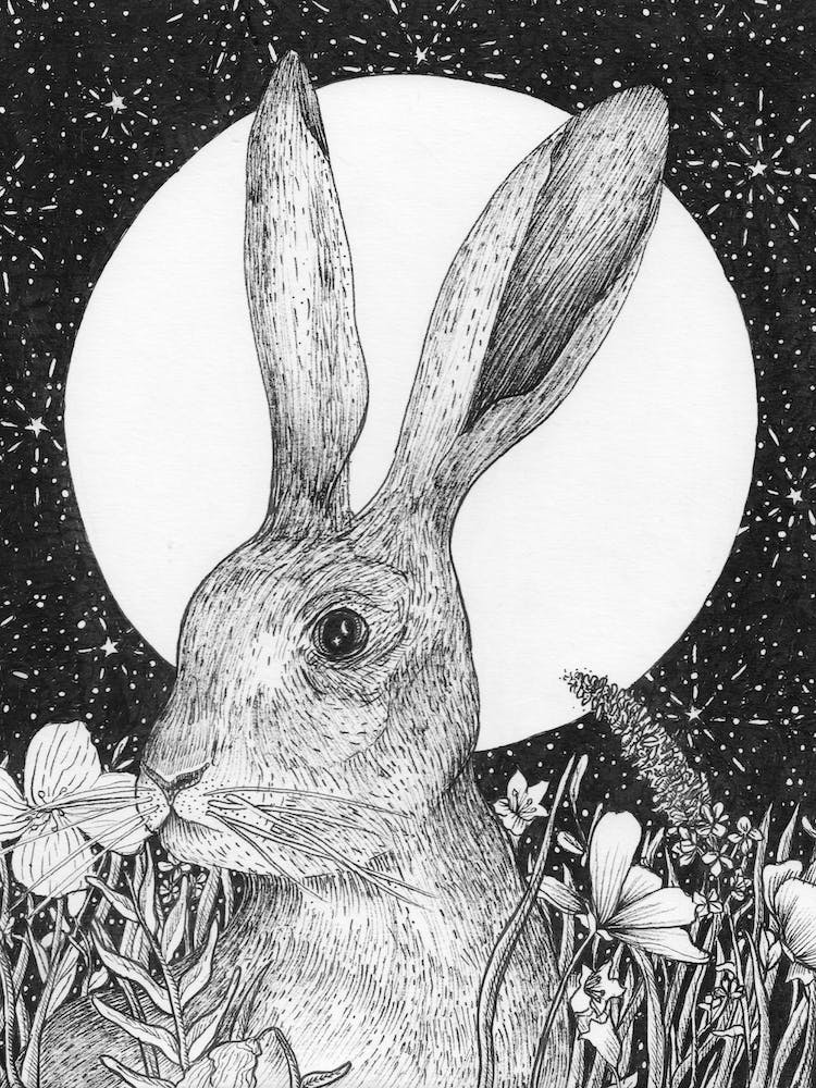 The Hare And The Moon