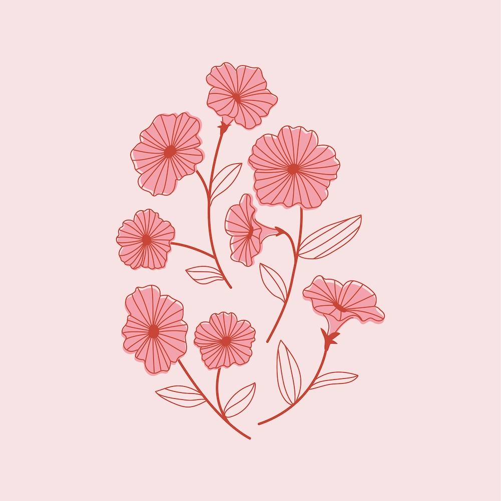 Pink Flowers On A Pink Background