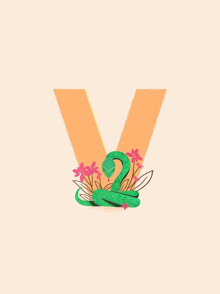 Letter V Viper