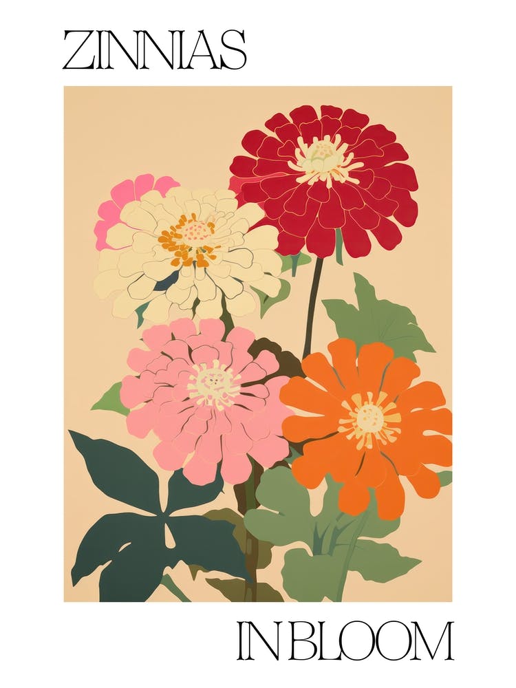 Zinnias In Bloom Flowers Bold Illustration 1