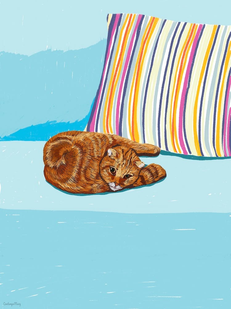 Funny Ginger Cat
