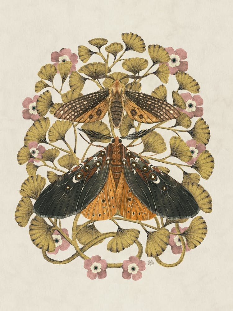 Moths And Maidenhair Fern At Day Insect art