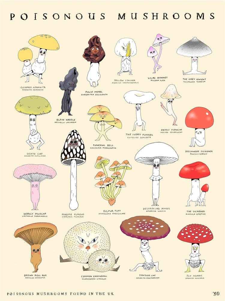 Poisonous Mushrooms
