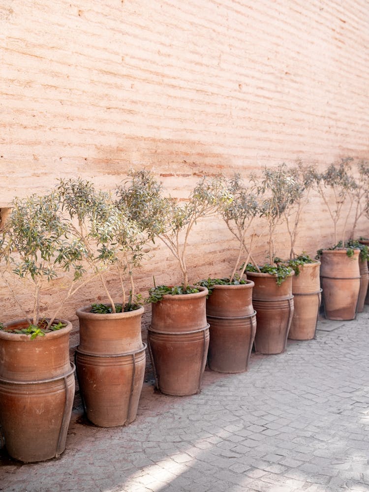 Terracotta, Marrakech
