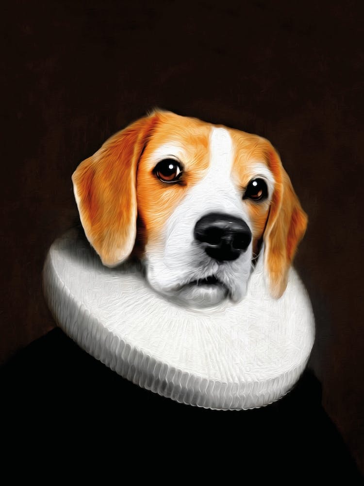Miss Daisy The Beagle Dog Pet Portraits