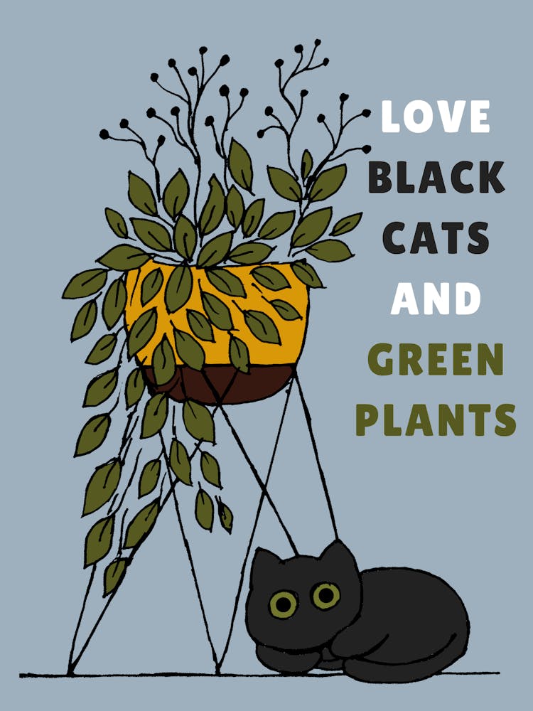 Love Black Cats And Green Plants