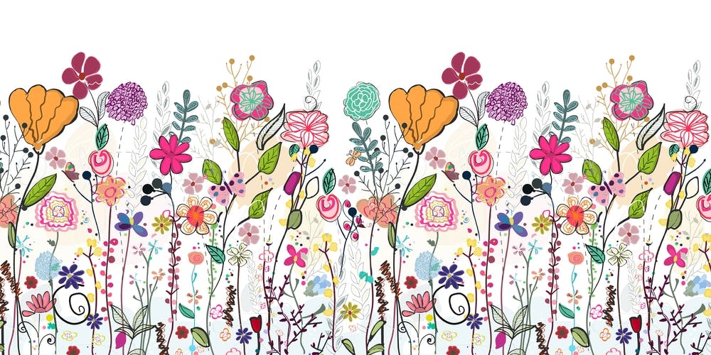 Colorful Wildflowers And Flower Field