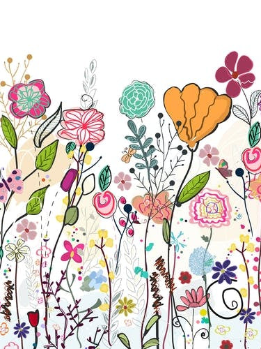 Colorful Wildflowers And Flower Field