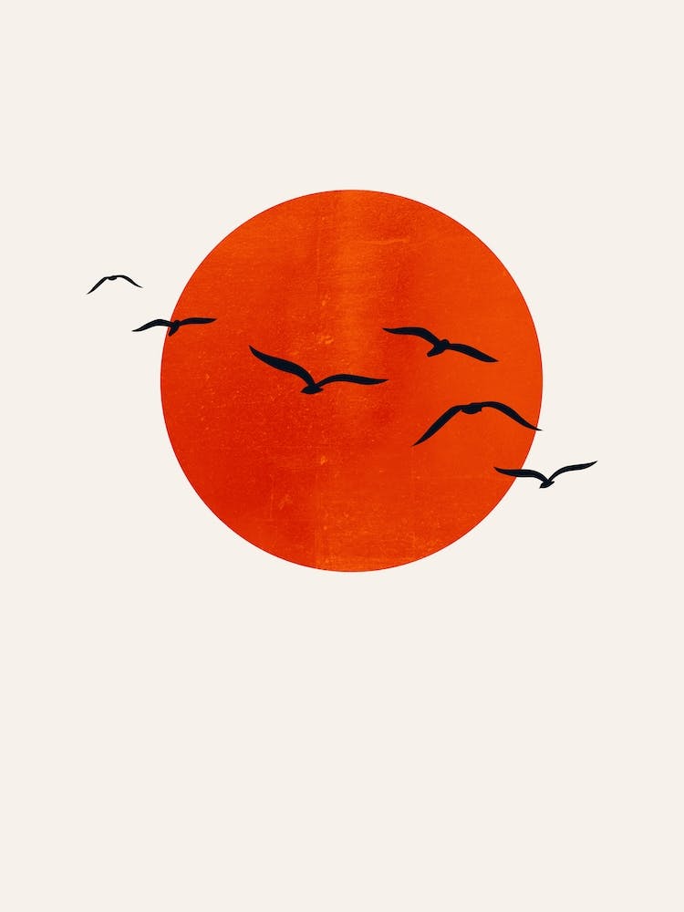 A Sunny Day