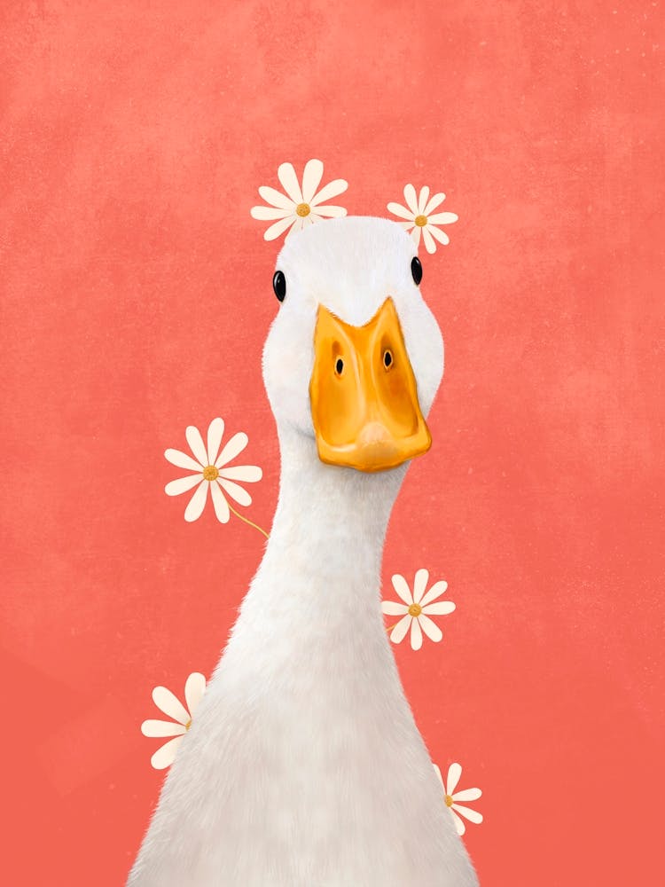 Duck With Chamomiles