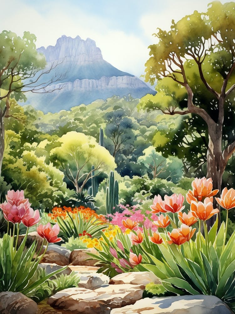 Kirstenbosch Botanical Garden South Africa Watercolour 1