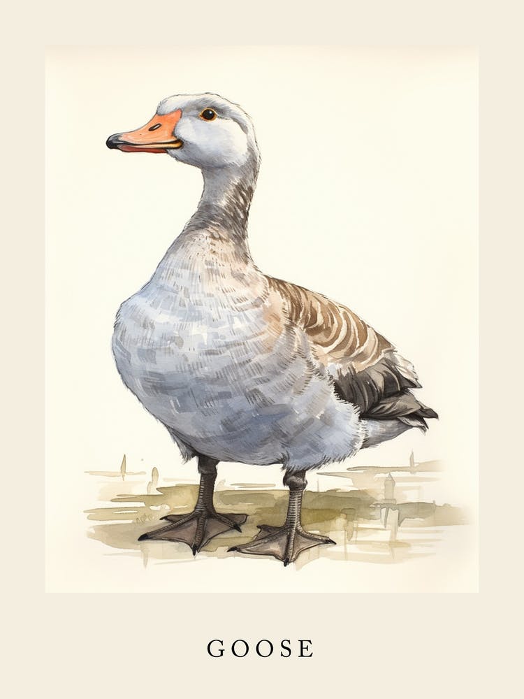 Beatrix Potter Inspired  Animal Watercolour Goose 2