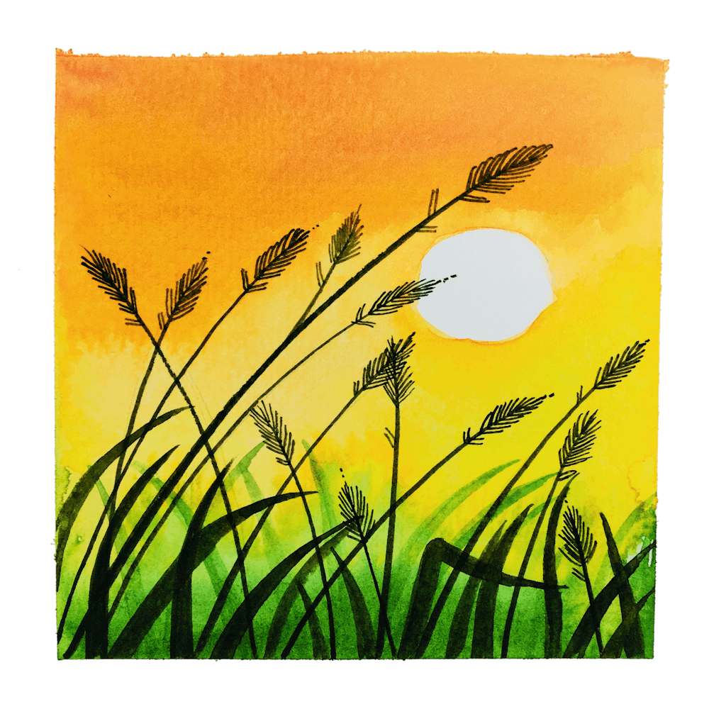 Watercolor Summer Meadow Near The Sunset