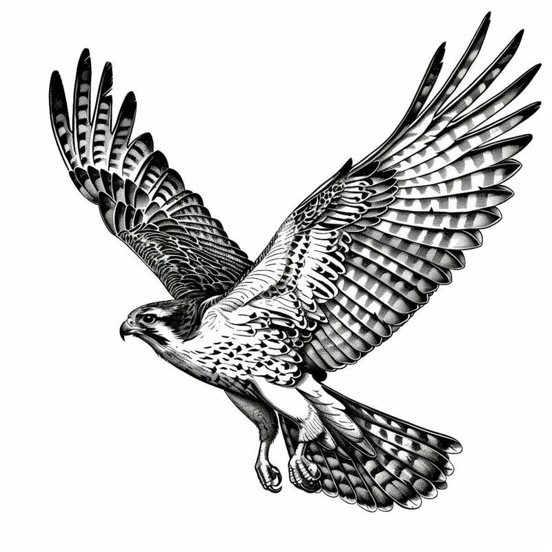 Hawk In Flight
