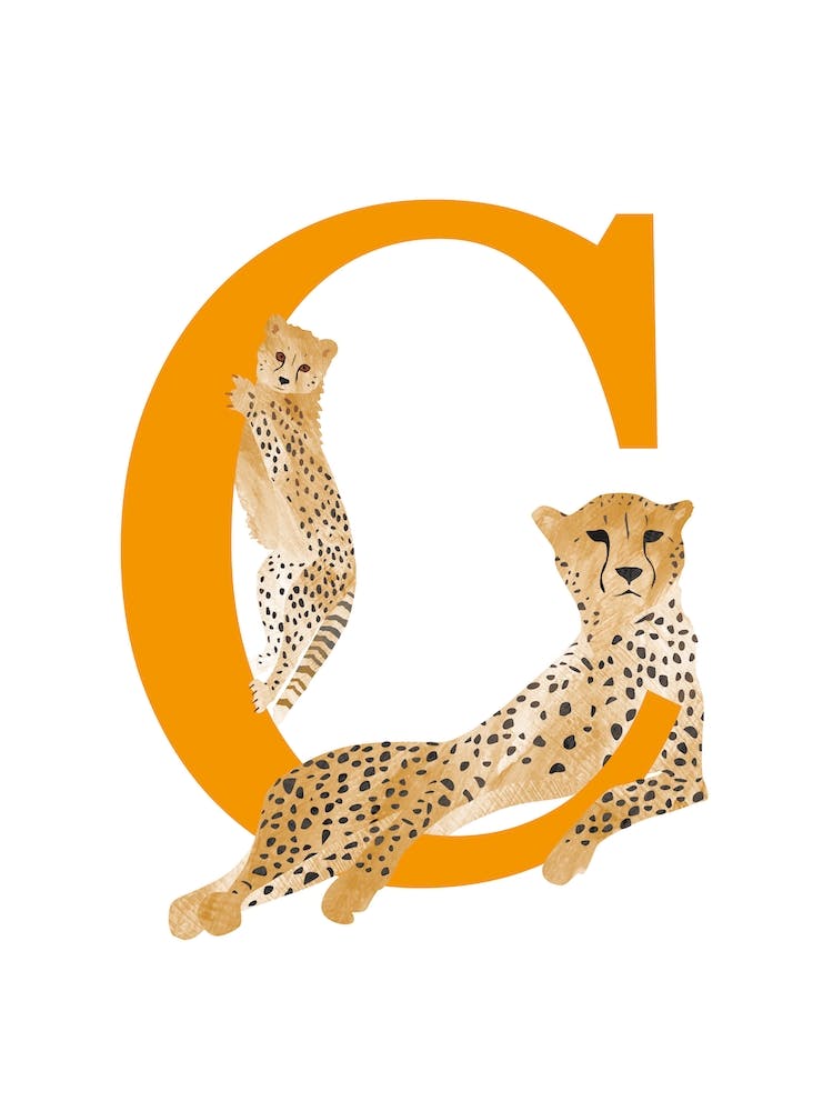 C For Cheetah