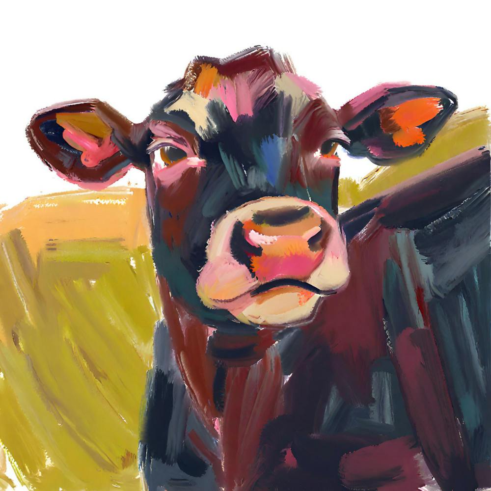 Angus Cow 03