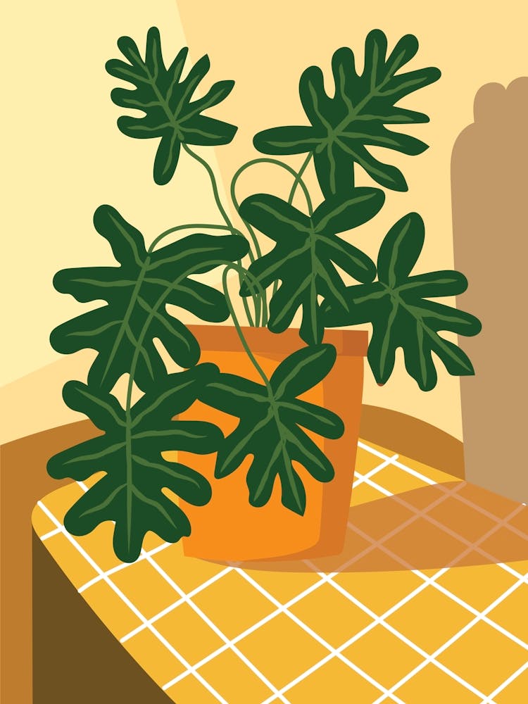 Potted Plant