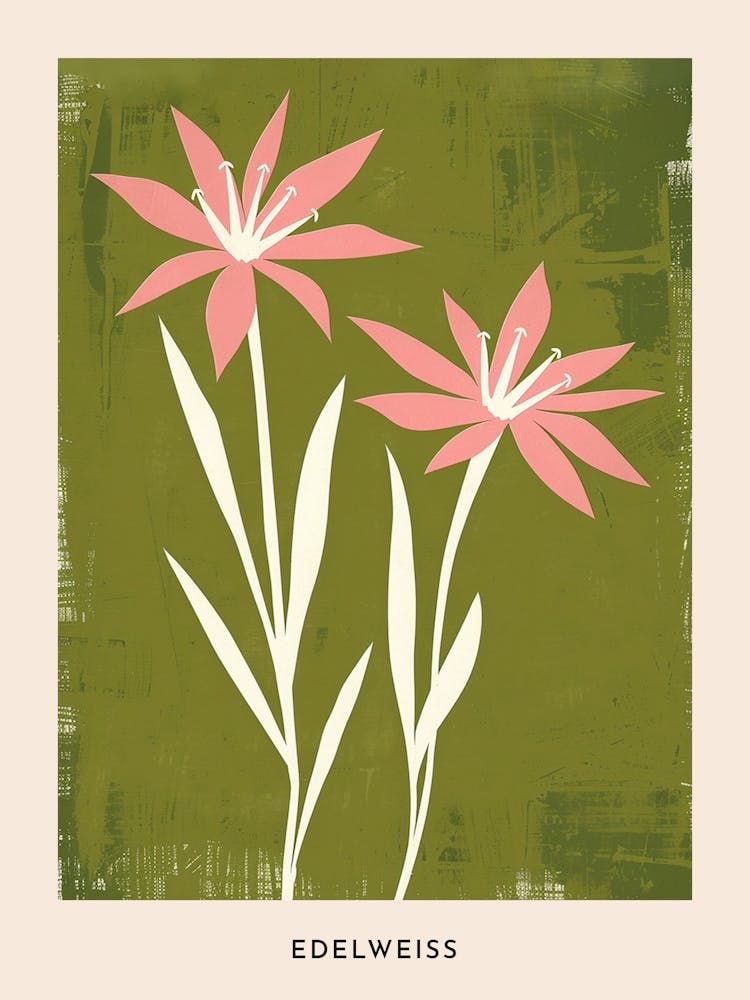 Pink & Green Edelweiss 1 Flower Poster
