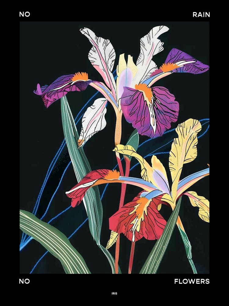 No Rain No Flowers Poster Iris 2