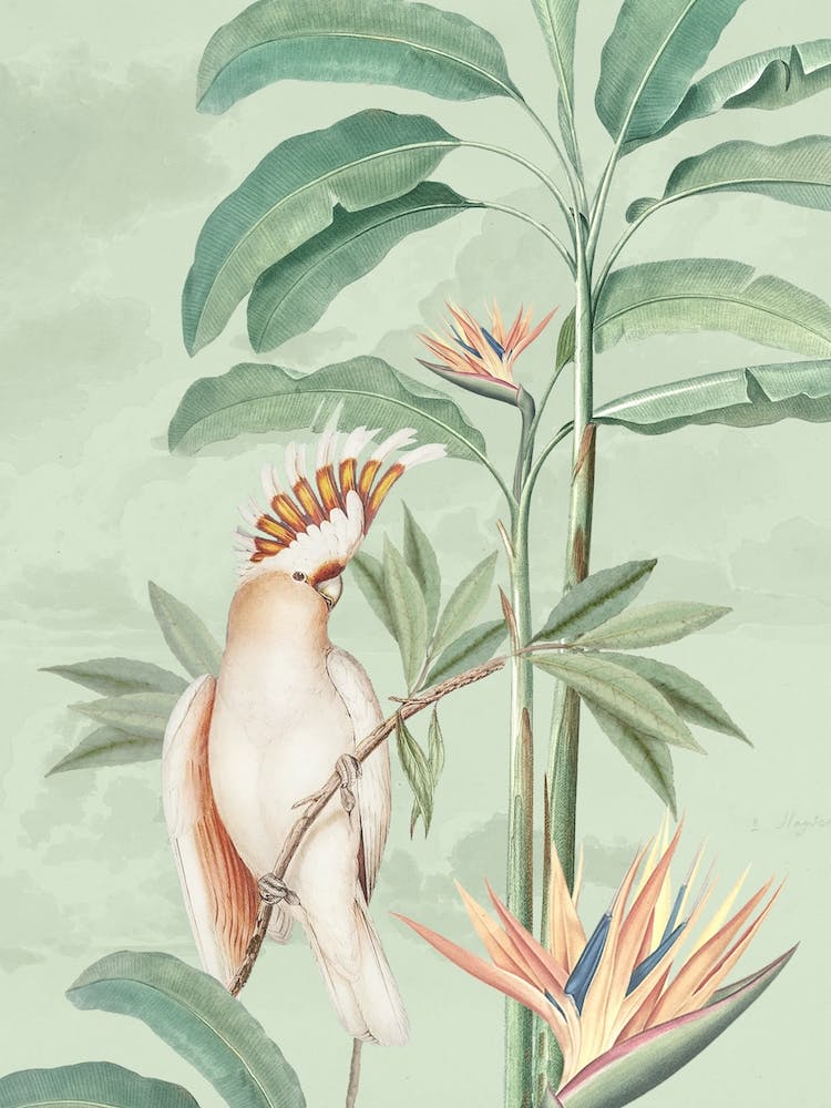Vintage Jungle Parrots And Flowers 1