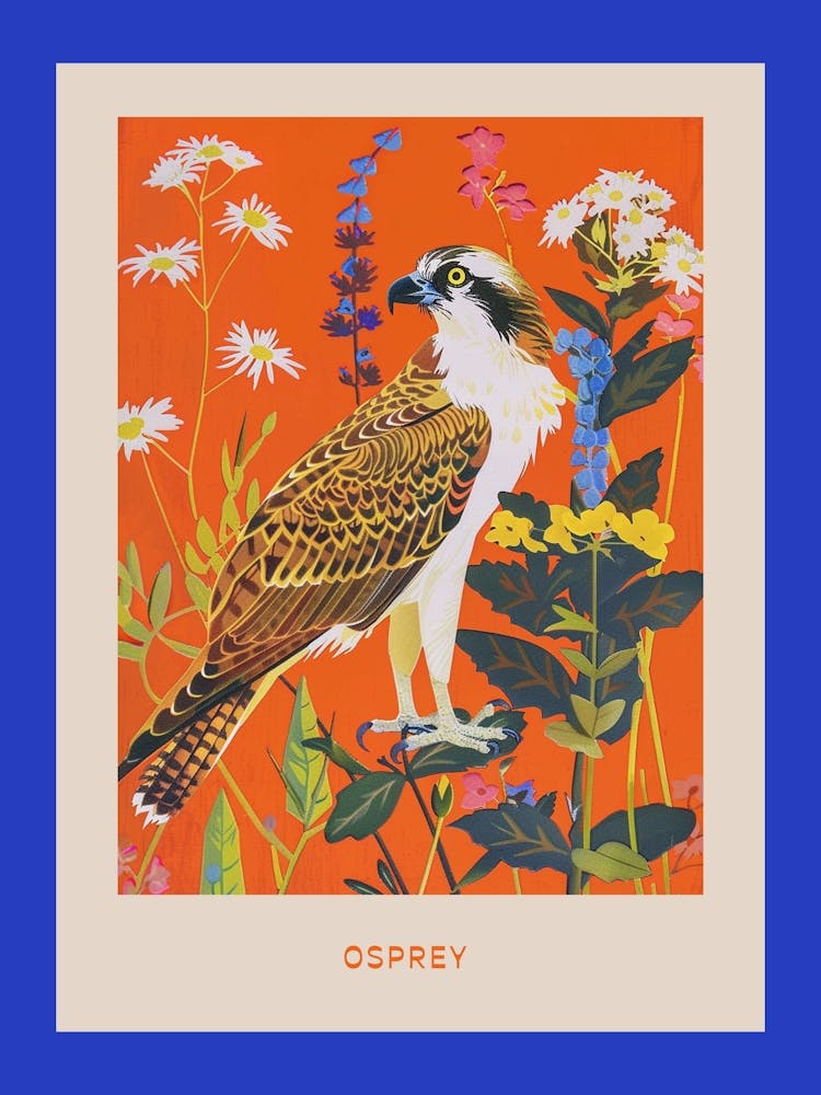 Spring Birds Poster Osprey 1