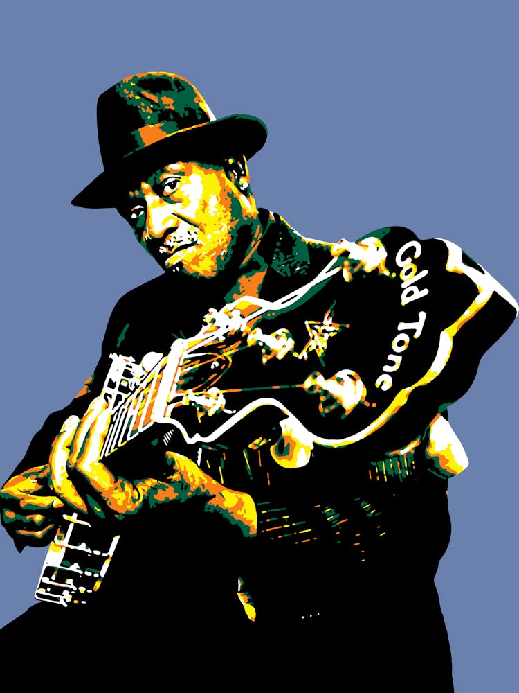 Taj Mahal American Blues Musician in Pop Art Illustration