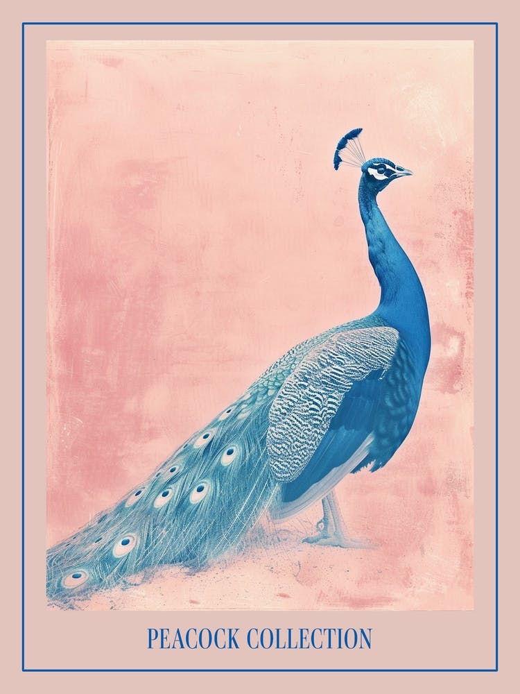 Peacock In The Wild Cyanotype Inspired 1 Poster