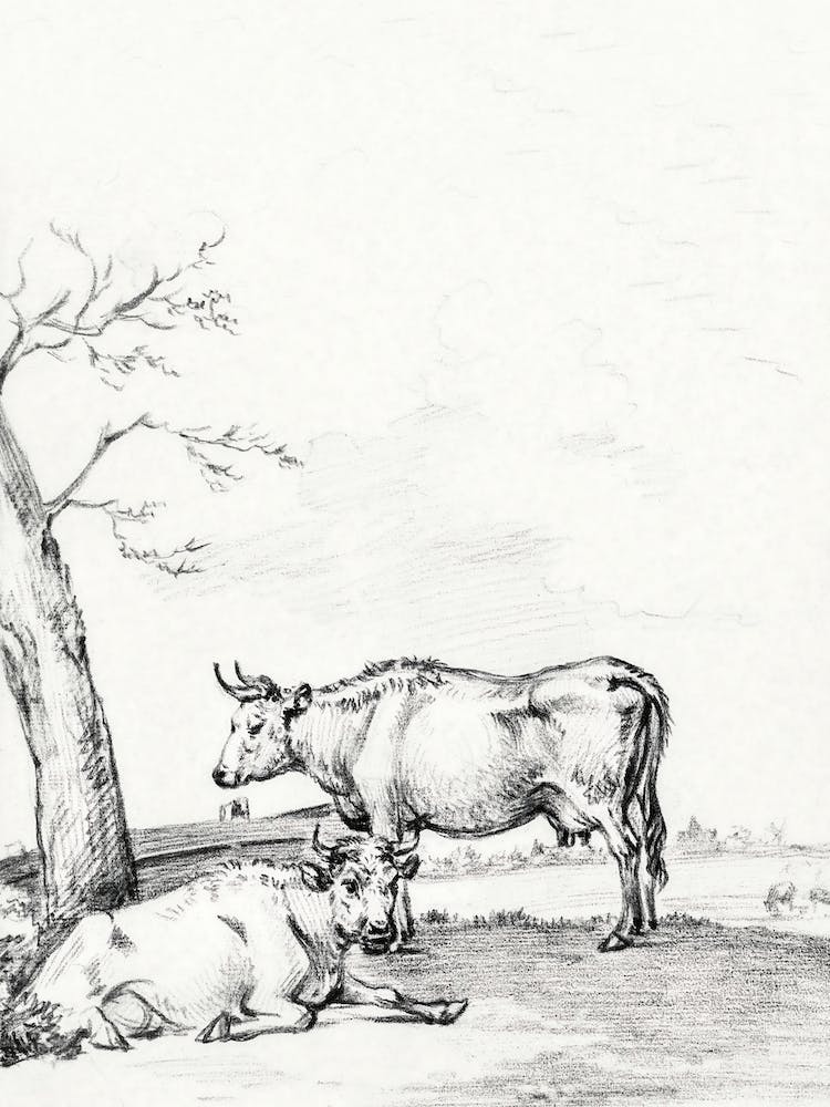 Standing And Lying Cow, Jean Bernard
