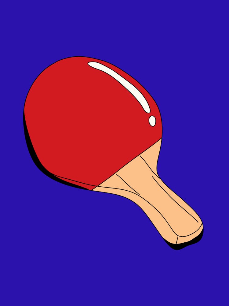 Tischtennisschläger