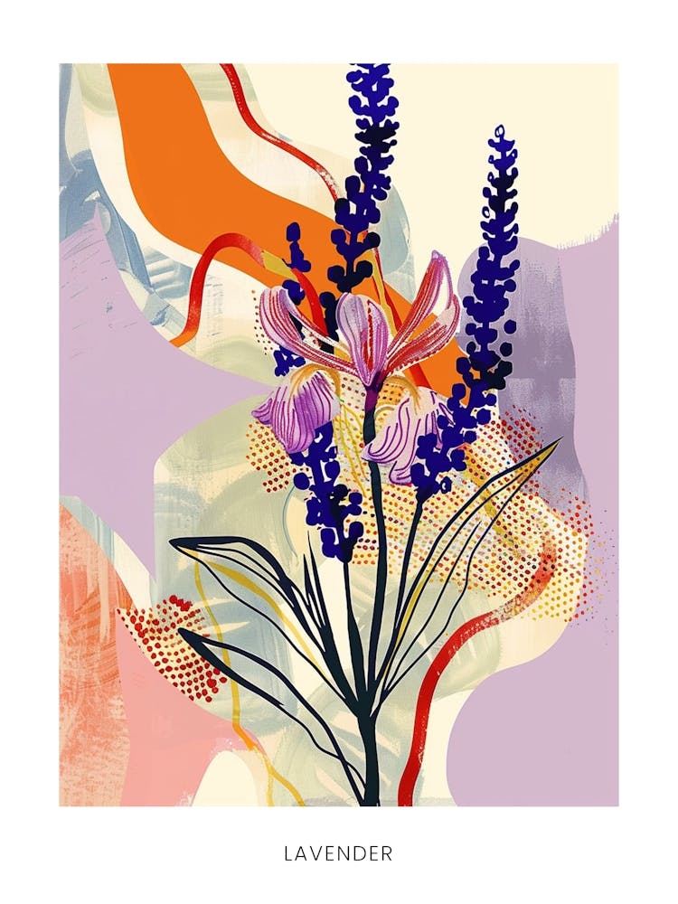 Colourful Flower Illustration Poster Lavender 1