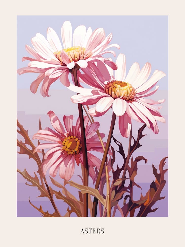 Floral Illustration Asters 1 Poster