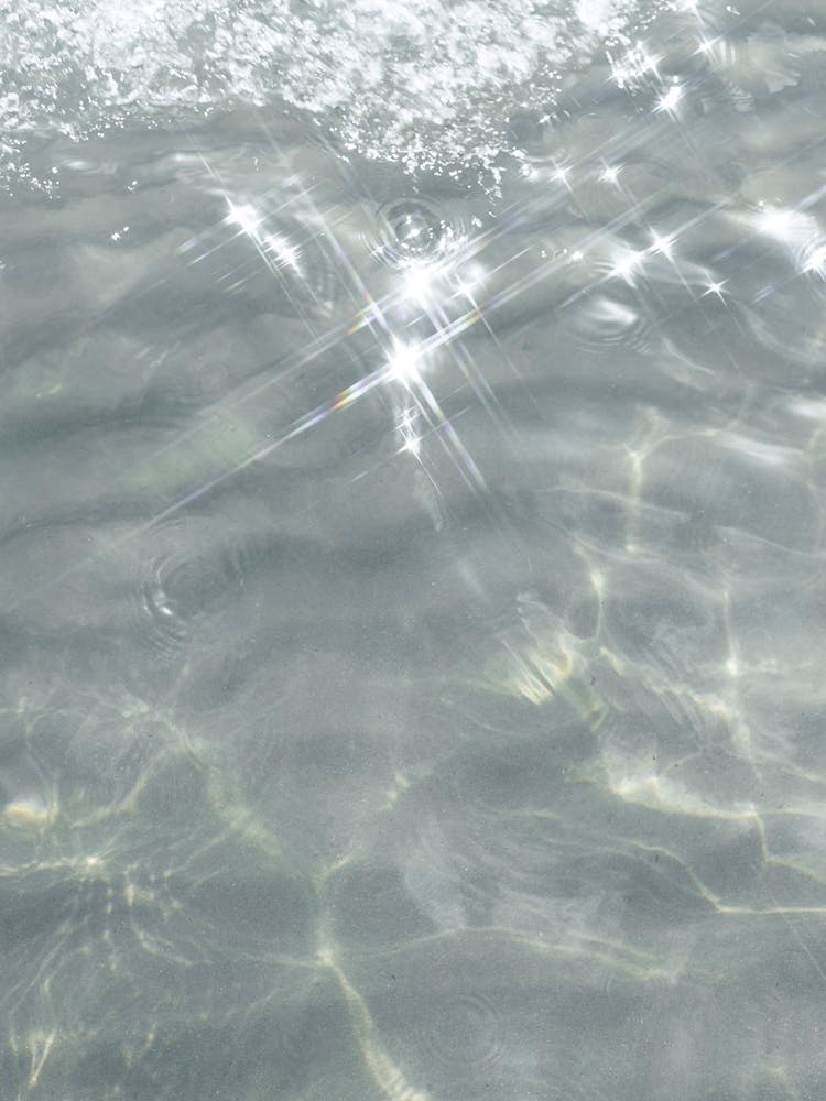 Stars In Beach Water 2