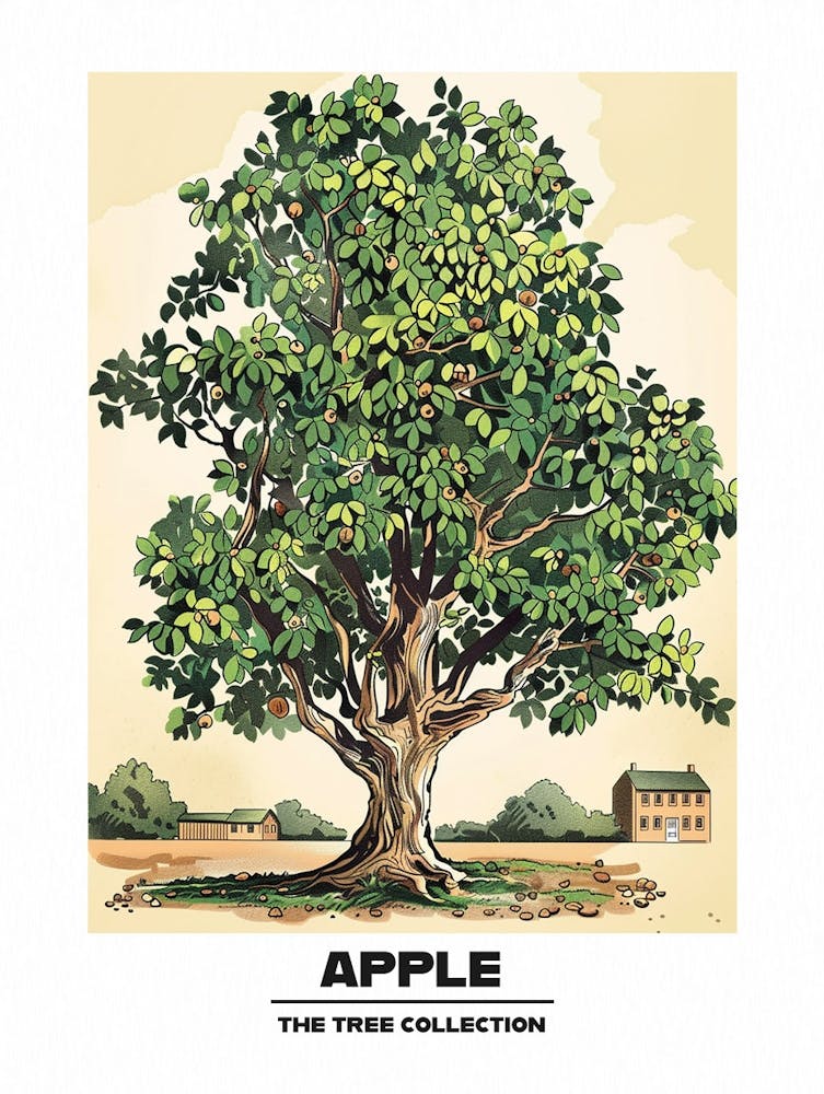 Apple Tree Storybook Illustration 2 Poster