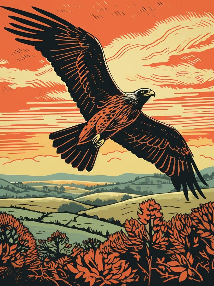Vintage Bird Linocut Harrier 2