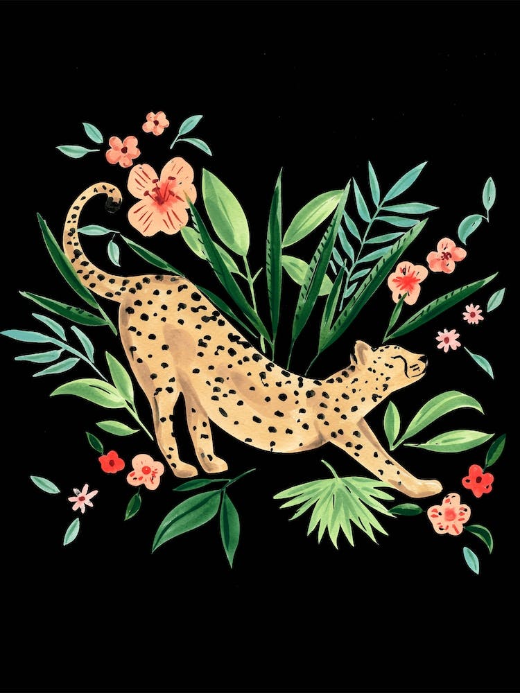 Guépard 1 Noir