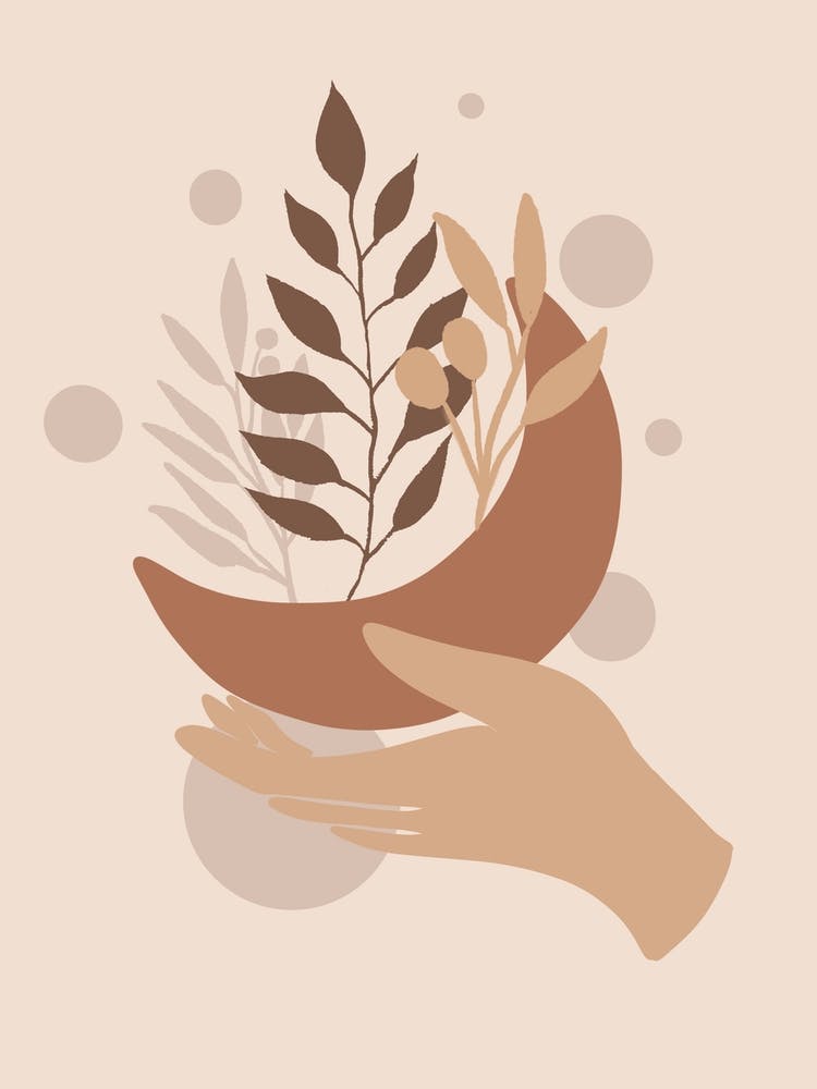 Hand Holding A Plant 1