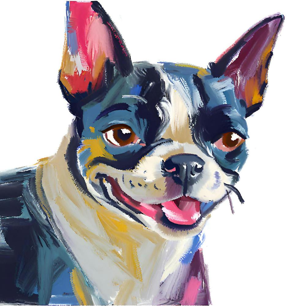 Boston Terrier 03