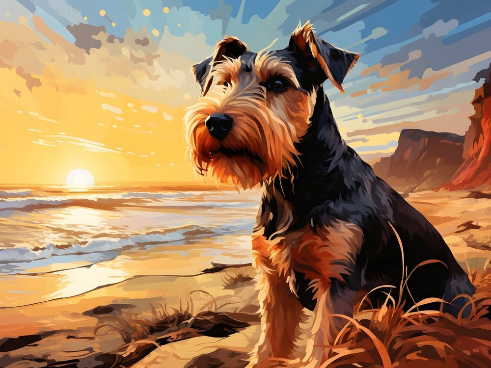 Terrier at Sunset on the Beach