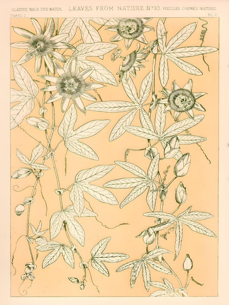 Vintage Pattern by Owen Jones (c1900)