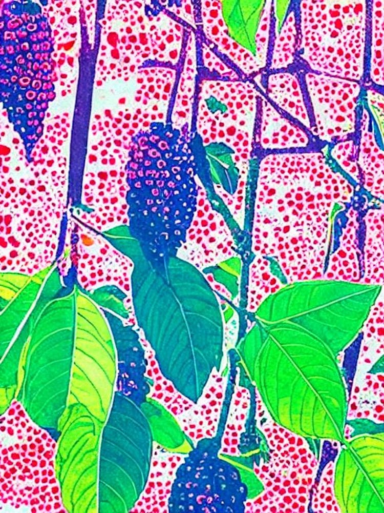 Surinam Cherry Risograph Retro Poster Fruit